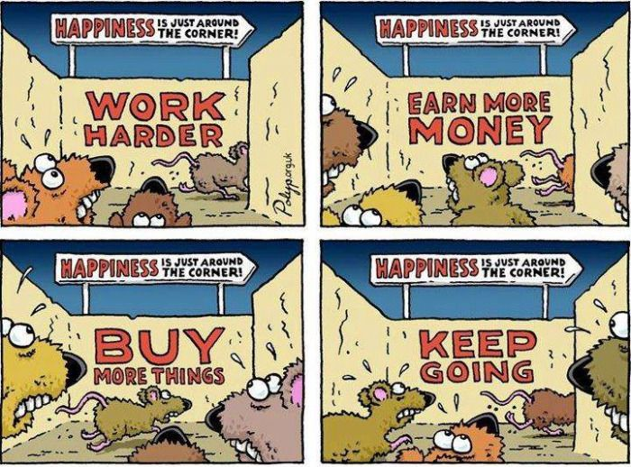 The Rat Race Illustrated